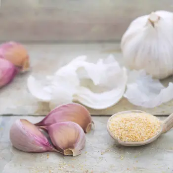 Fresh Garlic Powder